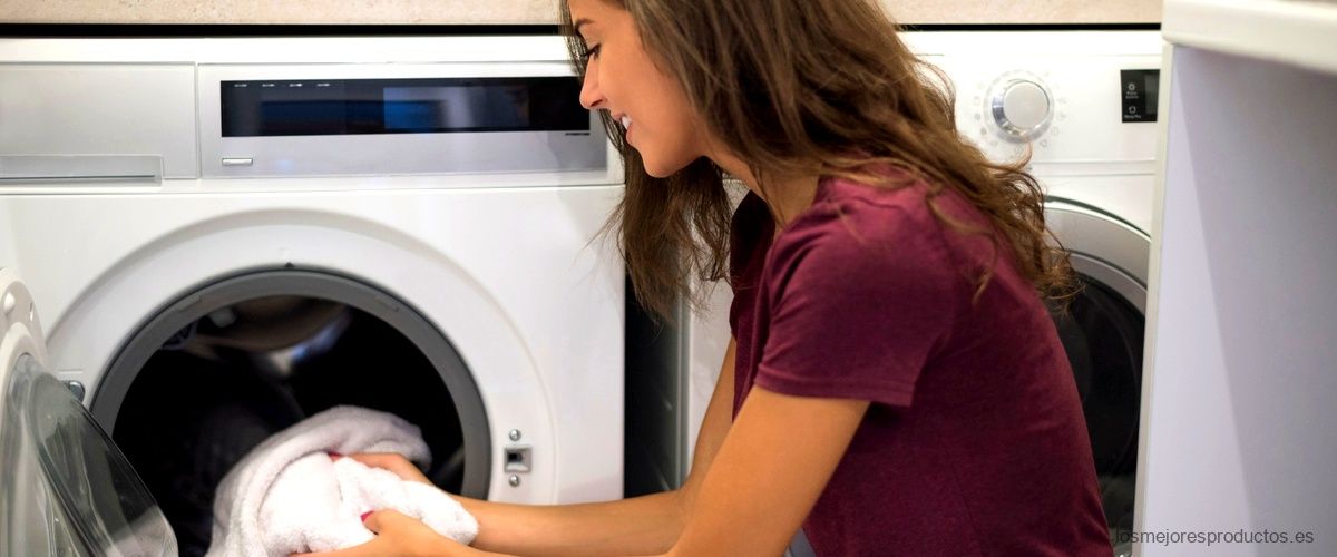 ¿Cuál es la ventaja de tener una lavaseca en lugar de una secadora de ropa?