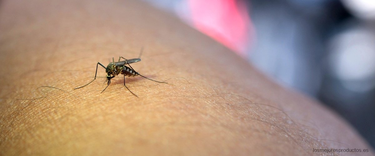¿Cuál repelente de mosquitos es más efectivo?