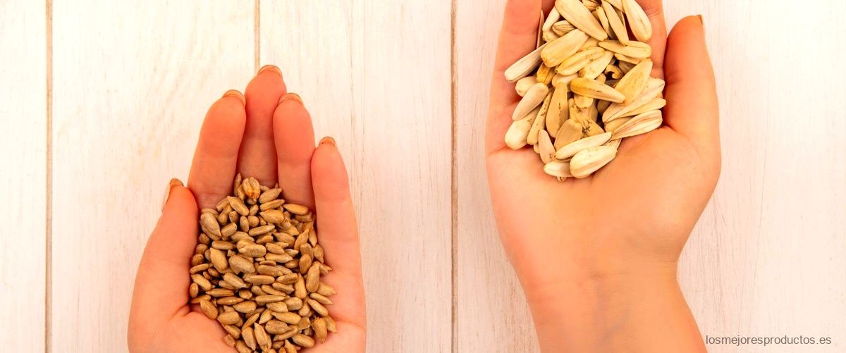 ¿Cuáles son los beneficios de comer germen de trigo?
