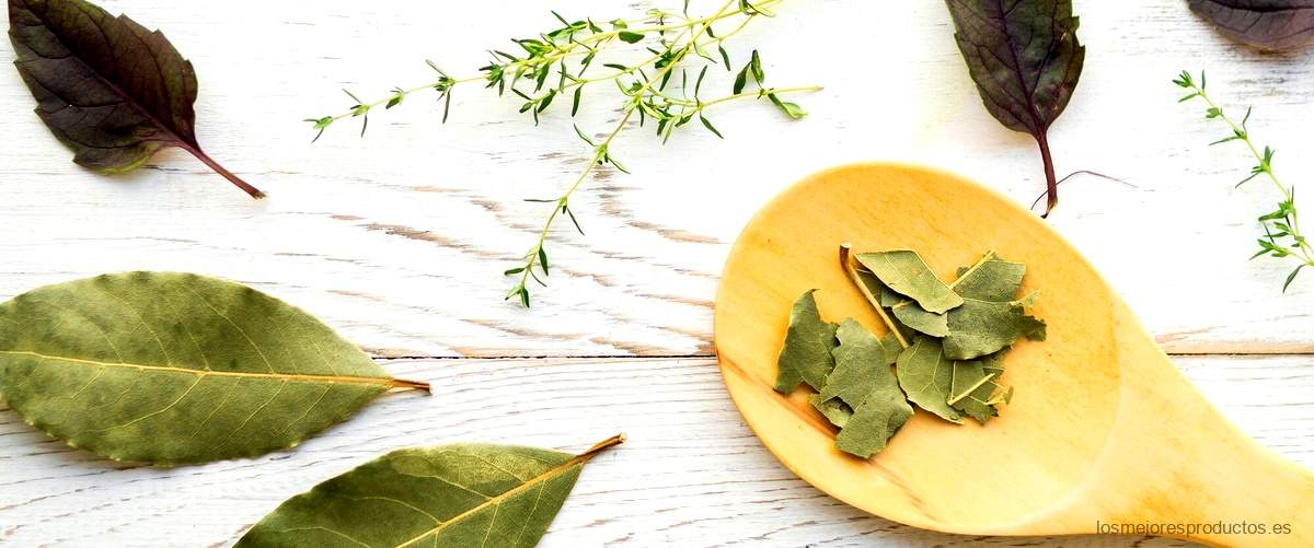 ¿Cuáles son los beneficios de tomar té de hojas de guanábana?