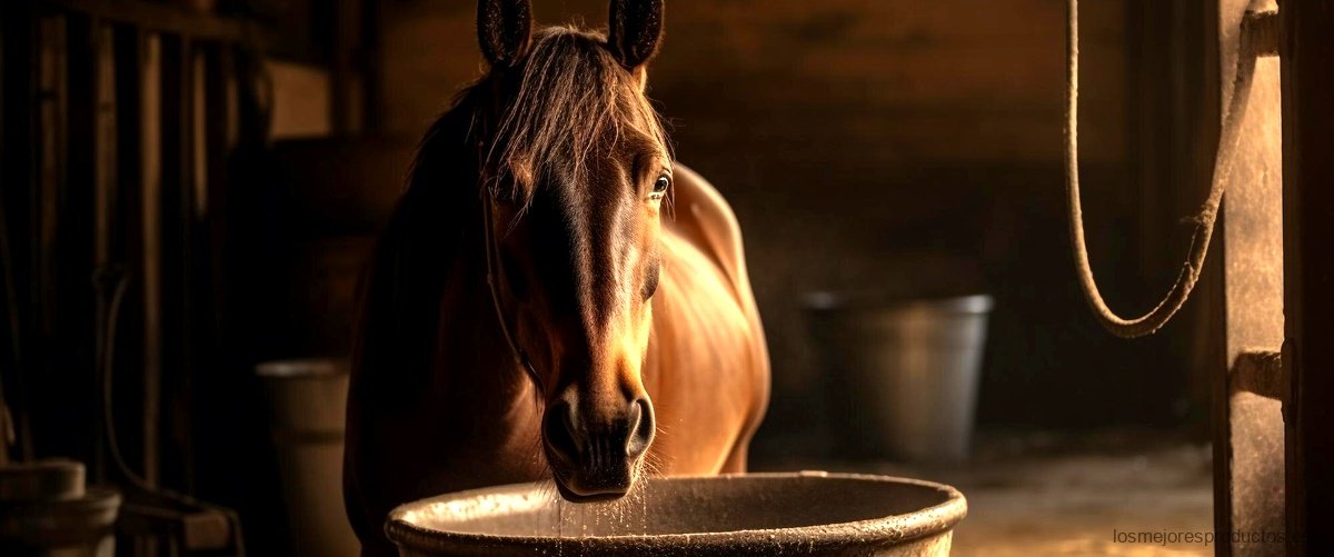¿Cuáles son los beneficios del champú de caballo?