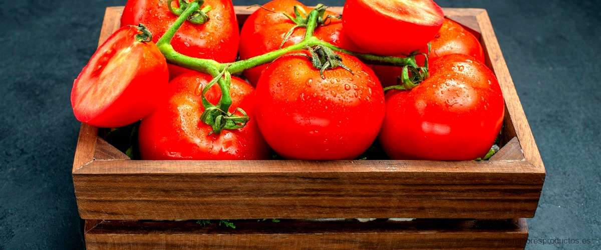 ¿Cuáles son los mejores tomates de España?