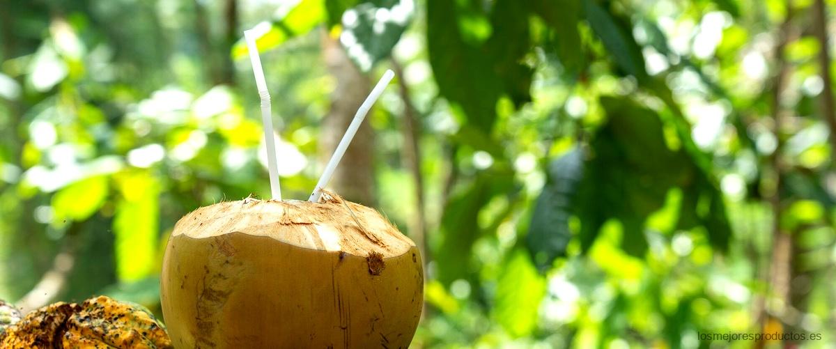 ¿Cuánta cantidad de coco se debe consumir al día?