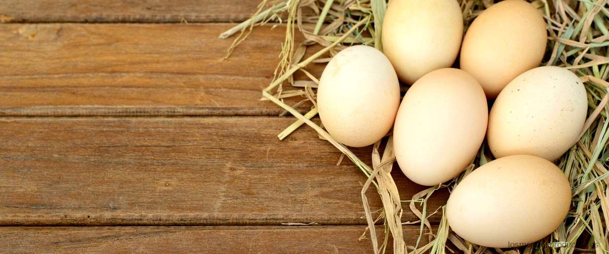 ¿Cuánto cuestan los huevos en España?