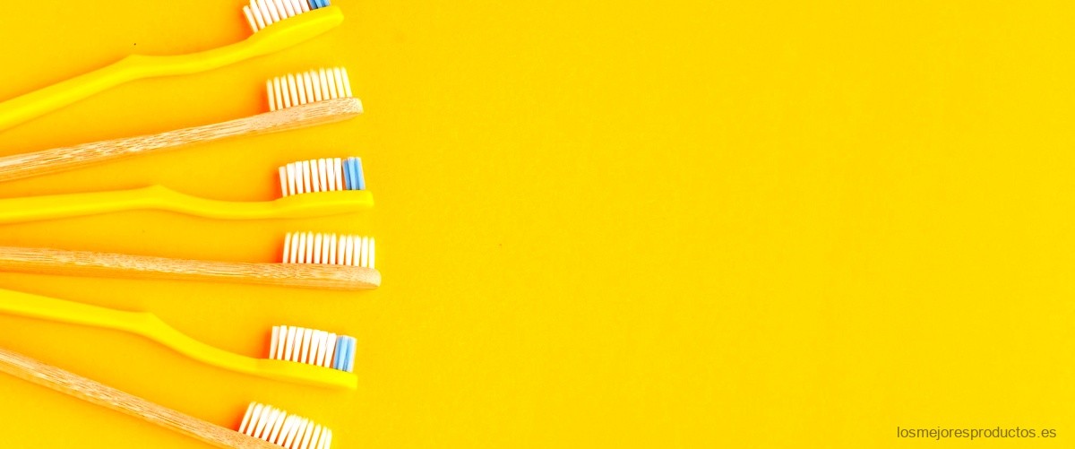 ¿Cuánto dura un cepillo Oral B?