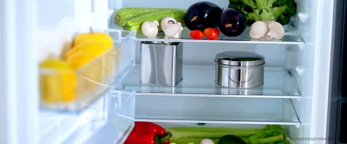 ¿Cuánto gasta un frigorífico americano?