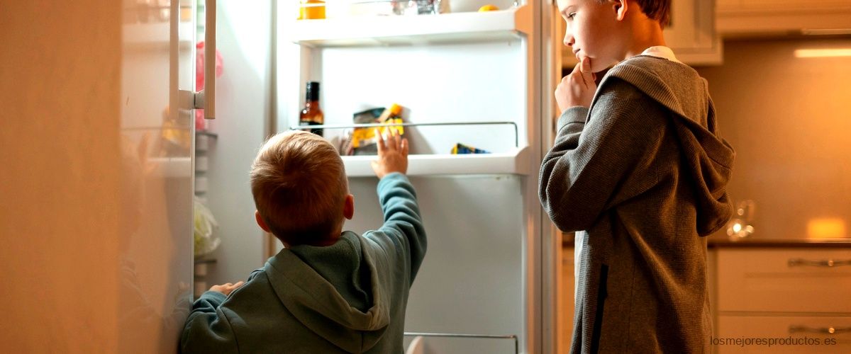 ¿Cuánto gasta un refrigerador americano?