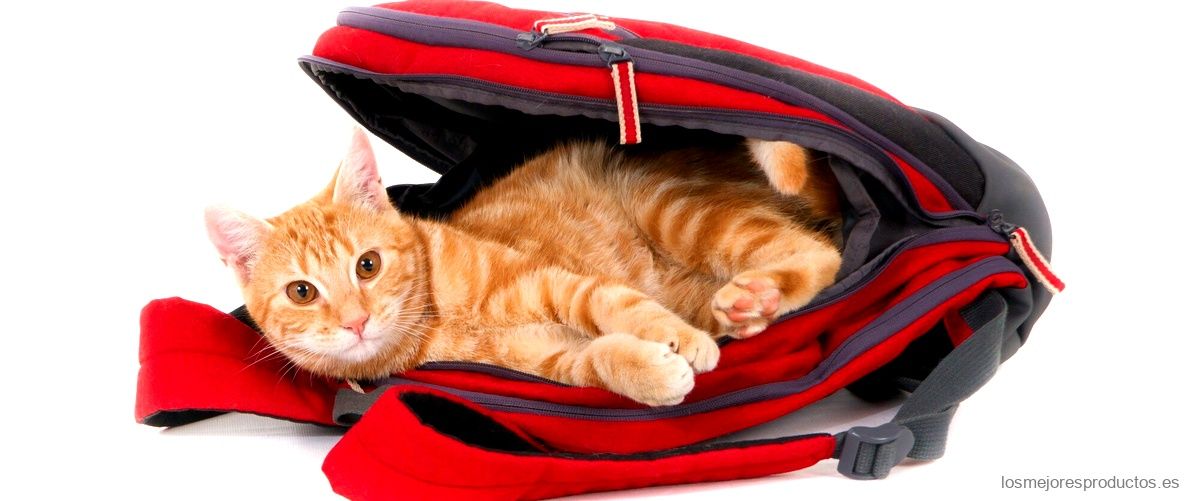 ¿Cuánto pesa un gato de coche?