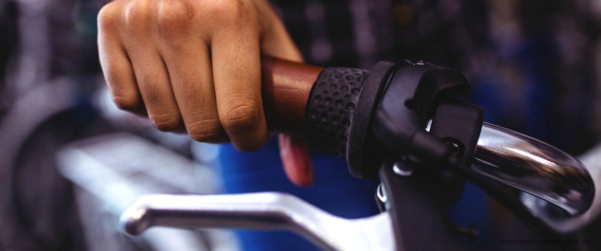 ¿Cuánto peso aguanta una bicicleta eléctrica?