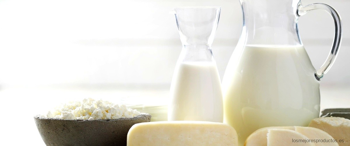 ¿Cuántos kilos de queso se obtienen a partir de 100 litros de leche?