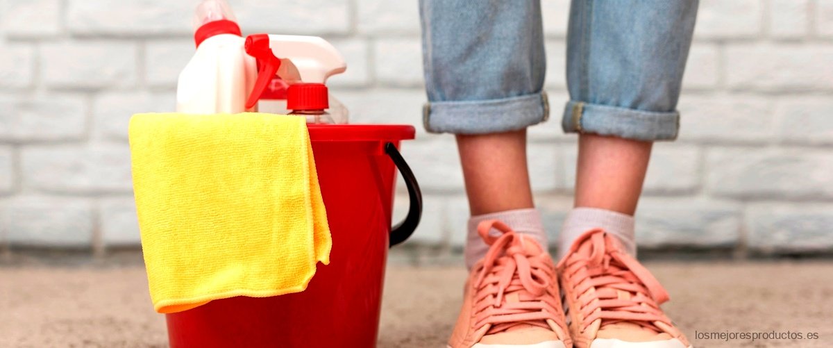 Cubo de fregona con pedal: ahorra tiempo y esfuerzo en tus tareas de limpieza