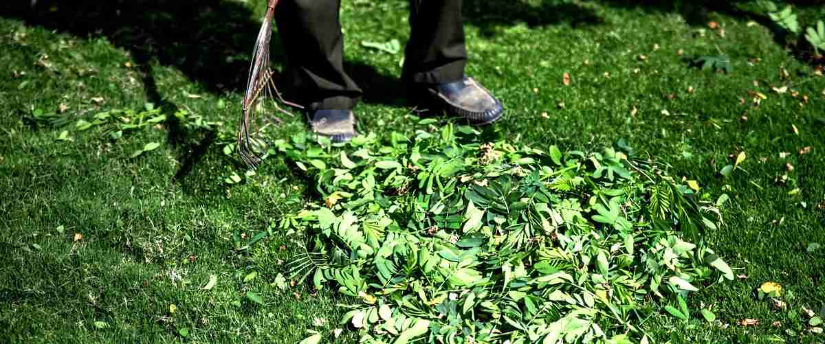 Cuchilla desbrozadora zarzas: la mejor opción para eliminar vegetación densa