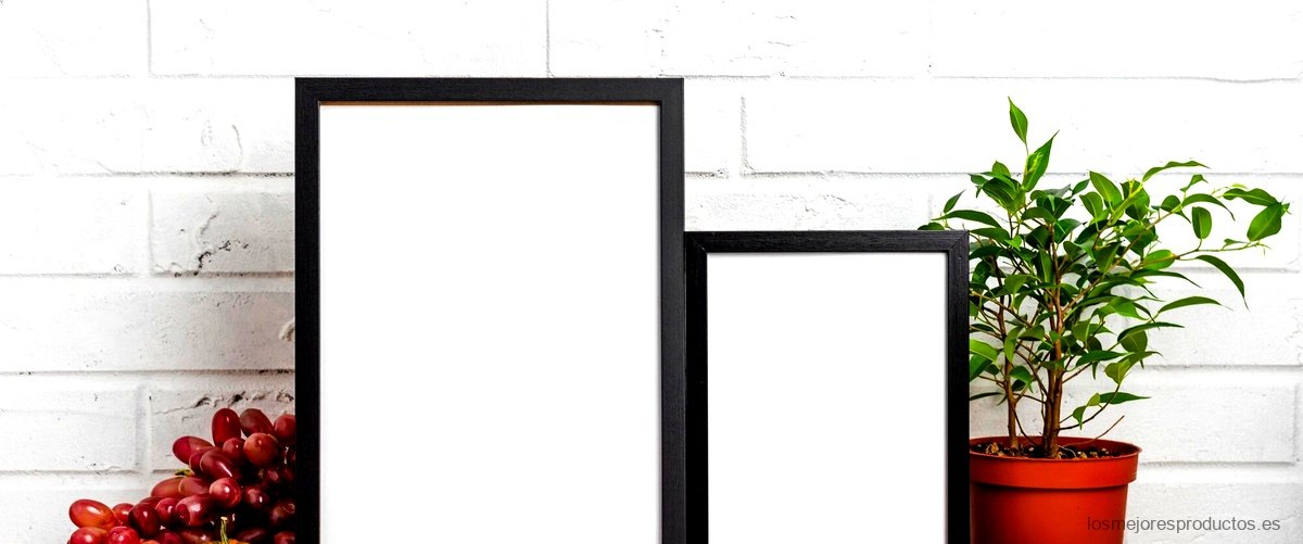 Decora tu hogar con marcos de fotos dobles verticales