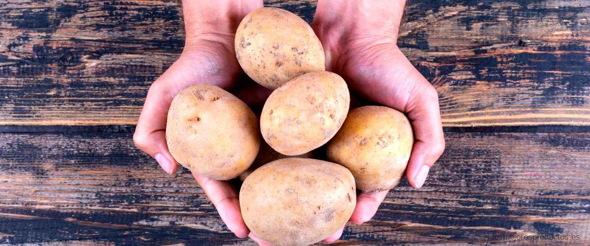 Descubre cómo ahorrar tiempo en la cocina con un pelador de patatas eléctrico.