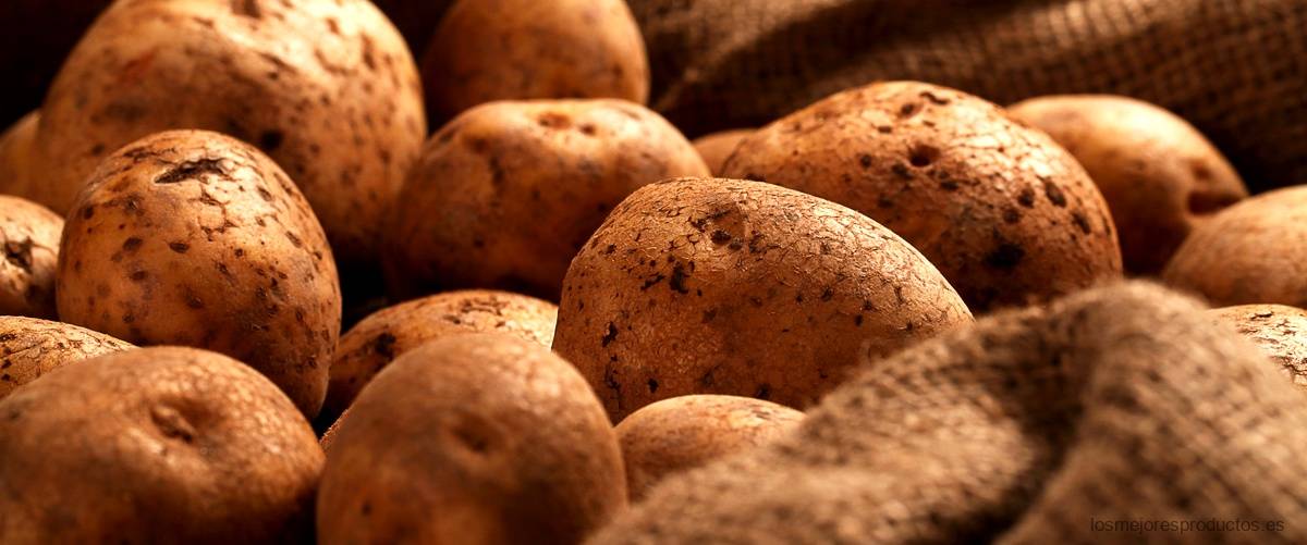 Descubre cómo cultivar un jardín con patata césped