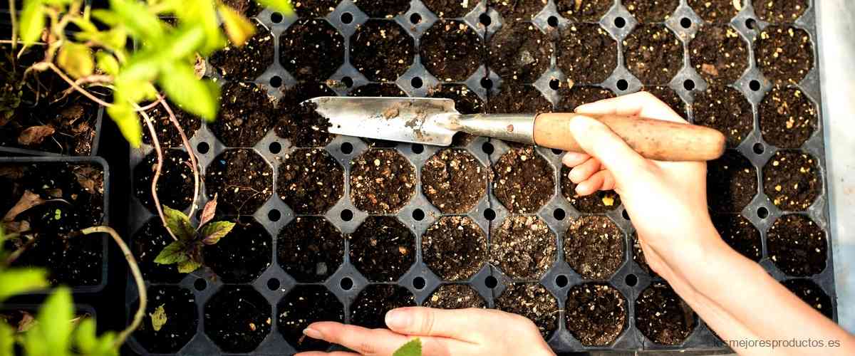 "Descubre cómo el celador jardinero puede transformar tus espacios verdes"