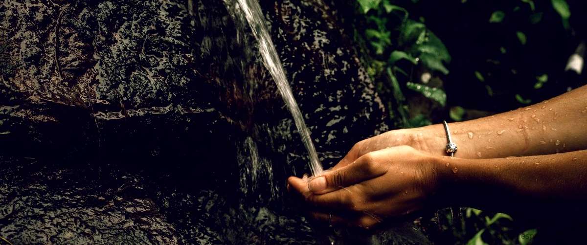 Descubre cómo funciona el proceso de deshidratación del agua en Amazon
