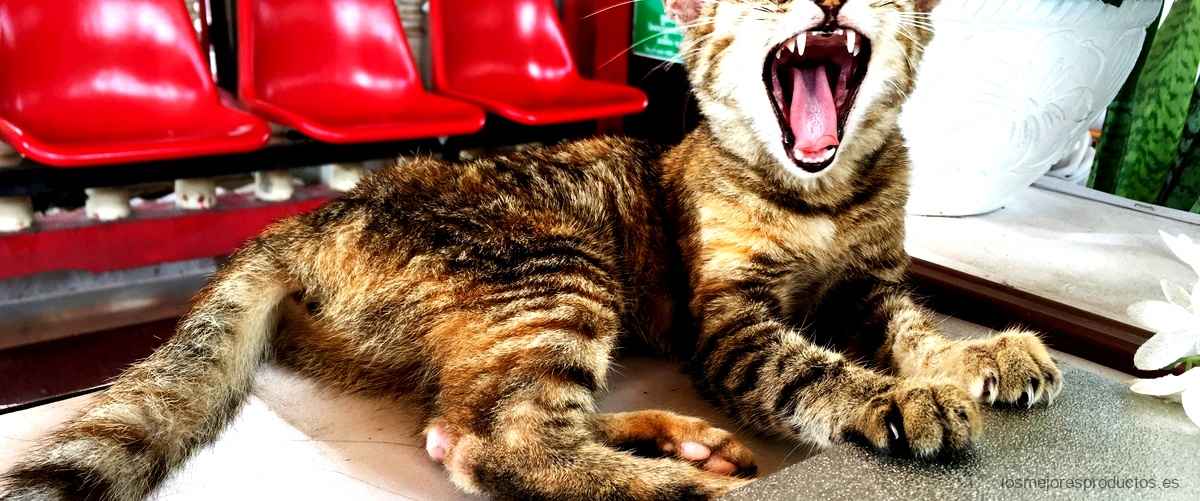 Descubre el catálogo de Ikea para mascotas: productos y accesorios para gatos