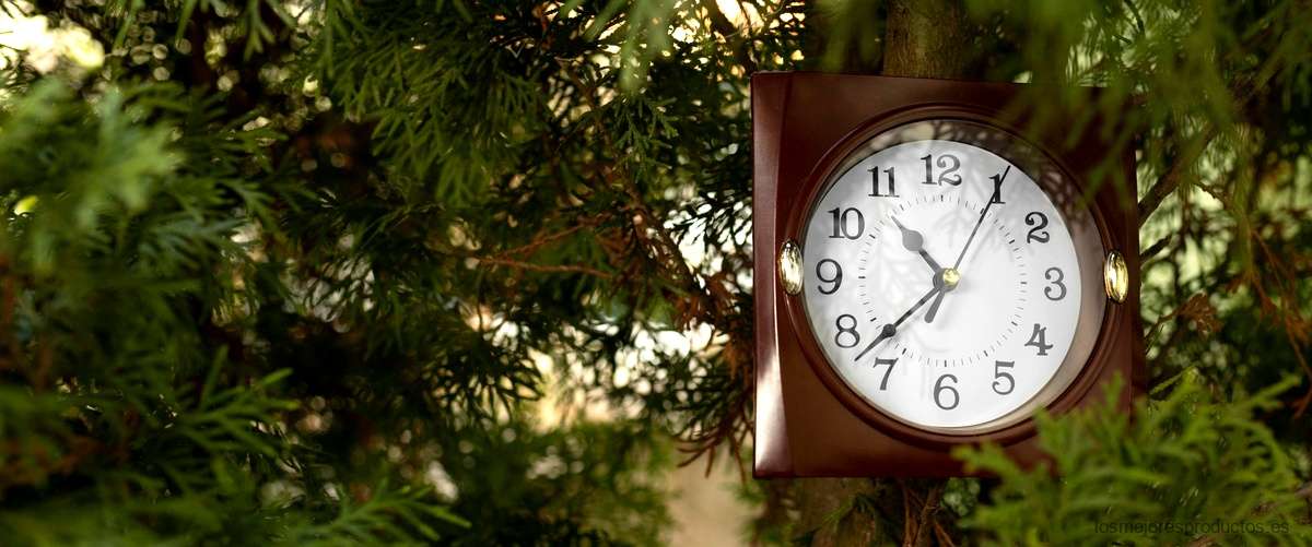 Descubre la belleza de los relojes de madera Sequoia