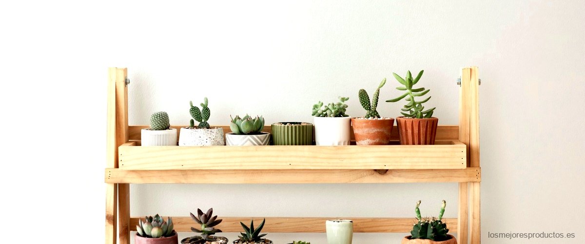 Descubre la estantería para plantas de Lidl: ideal para organizar y decorar tu hogar