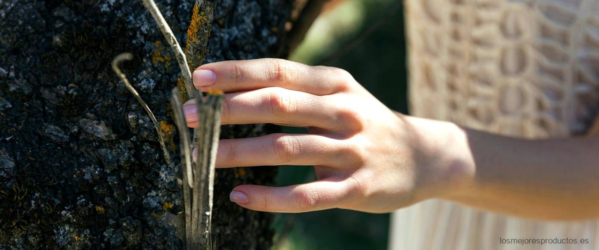 Descubre la solución natural para eliminar el moho: Antimoho Bosque Verde