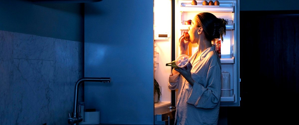 Descubre la variedad de frigoríficos en Family Cash para tu familia