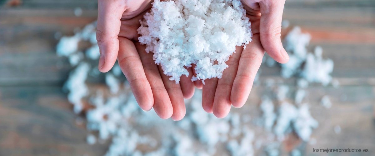 Descubre la variedad de sal ahumada en Carrefour