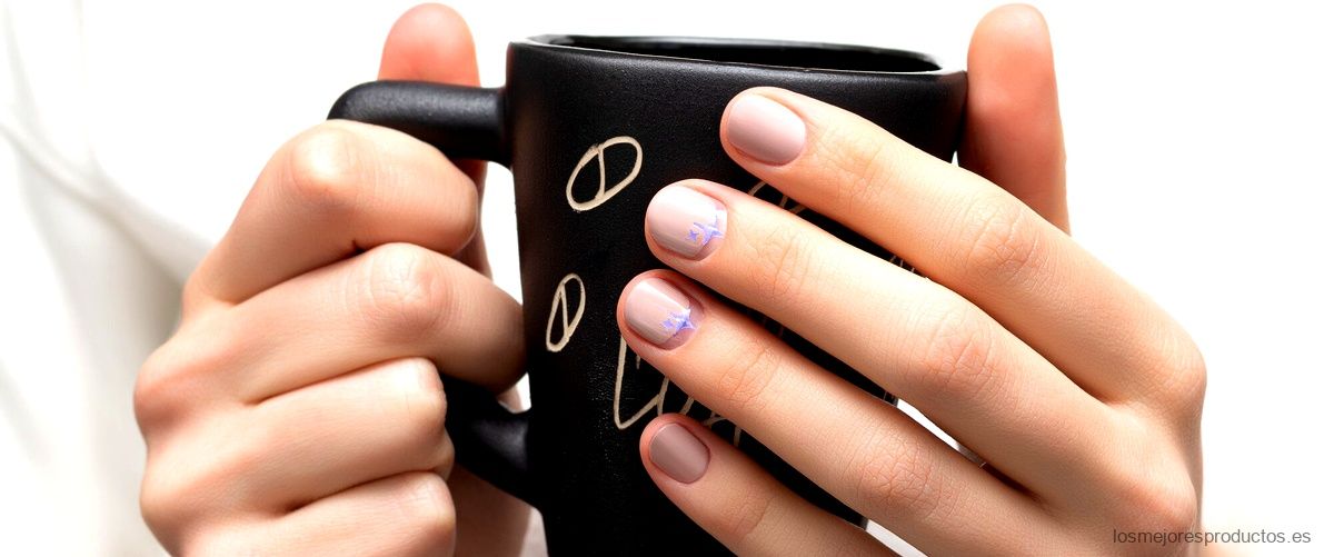 Descubre las mejores placas de estampación de uñas económicas