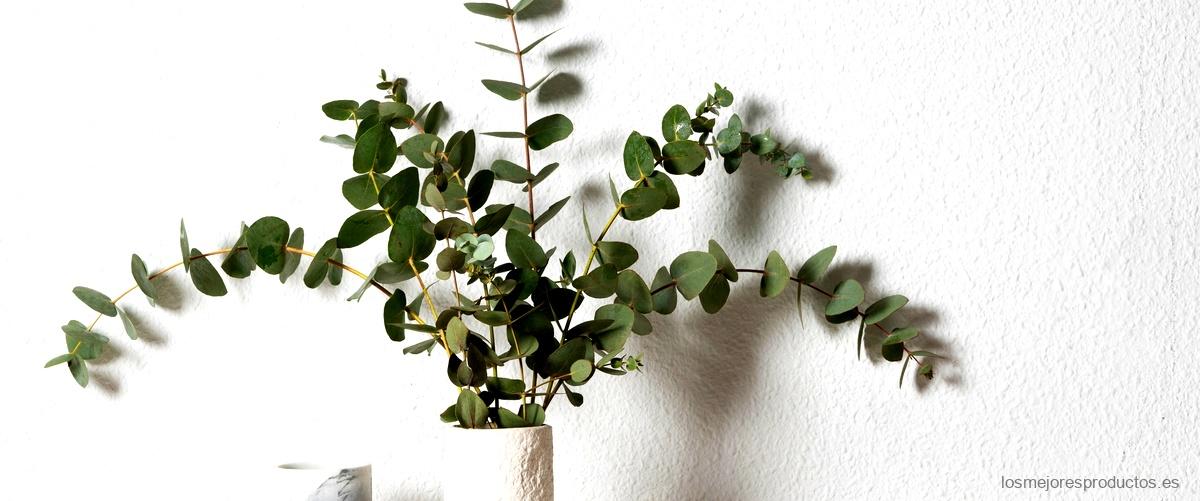 Descubre las plantas de kentia en Ikea: La elección perfecta para tu hogar