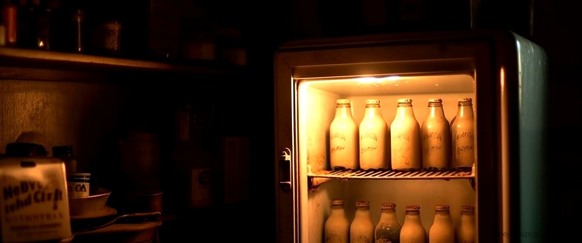 Descubre las ventajas de tener un botellero frigorífico en tu nevera