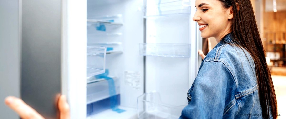 Descubre las ventajas del frigorífico combi Indesit LI8FF21X con tecnología no frost