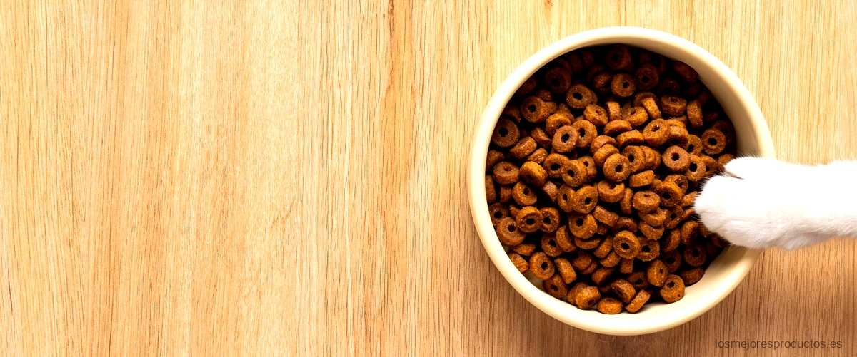 Descubre los beneficios de Briantos Pienso sin cereales