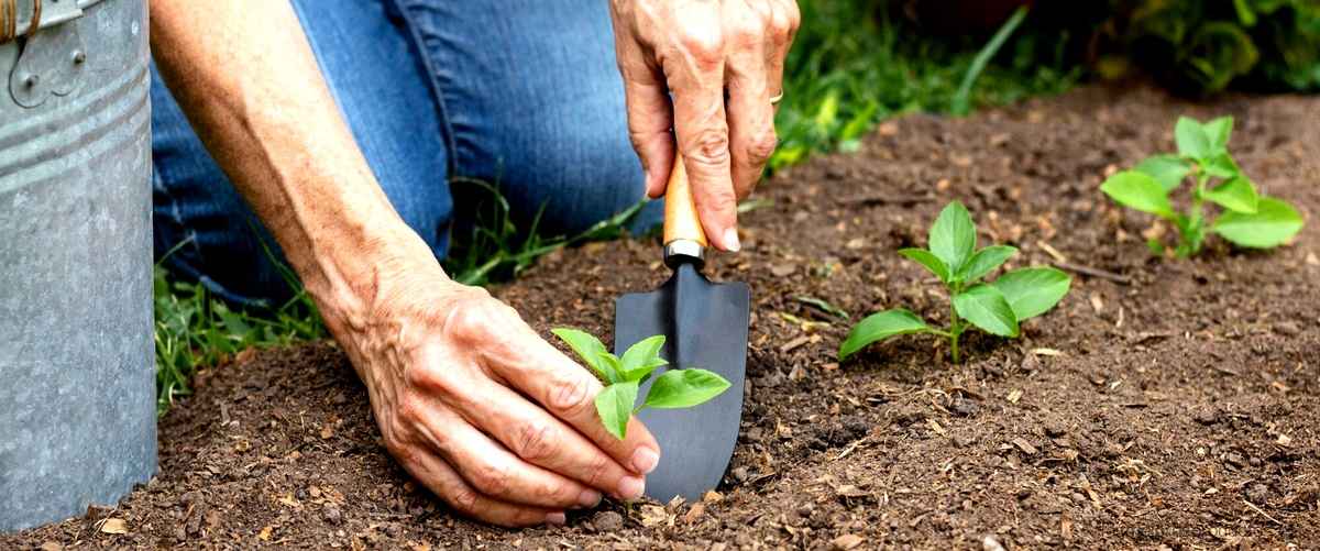 Descubre los beneficios de los brazos de cultivador bellota