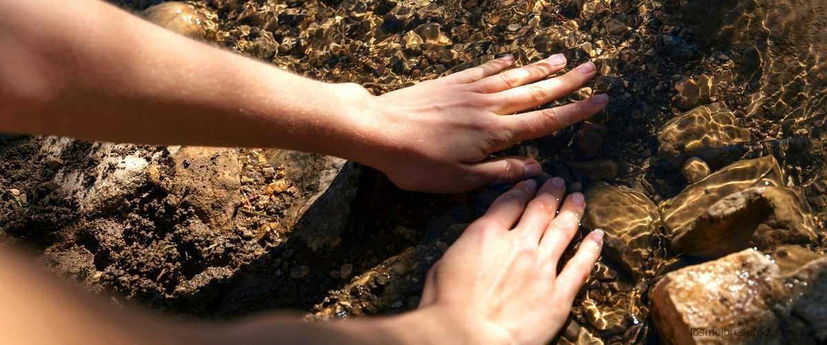 Di adiós al moho con Antimoho Bosque Verde: la solución natural