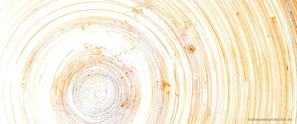 Discos de madera para decorar: Inspiración para tu próximo proyecto