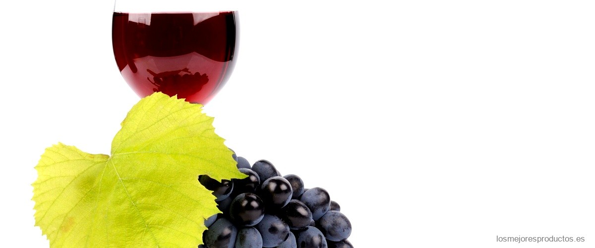 Disfruta de la sofisticación del Vino Fagus Carrefour, una deliciosa elección