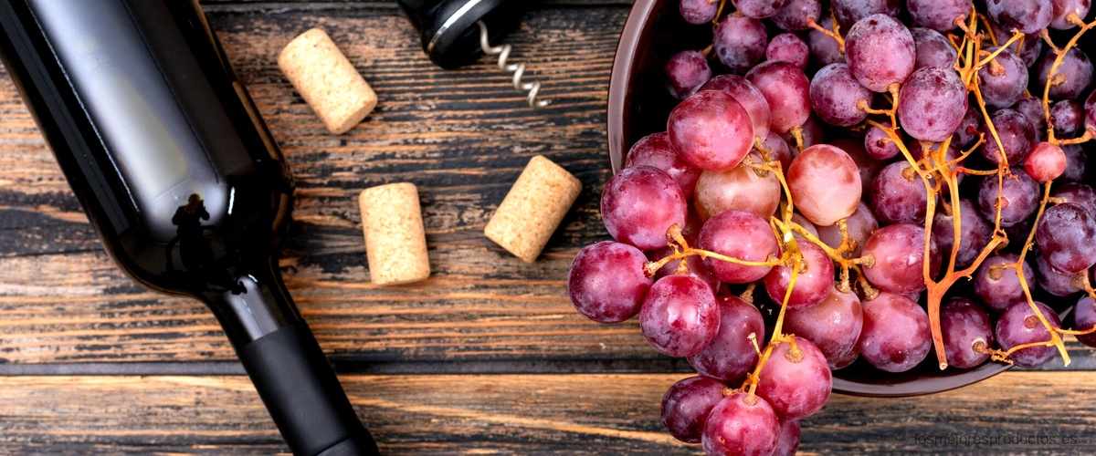 Disfruta de los vinos de Lidl en la comodidad de tu hogar con su vinoteca