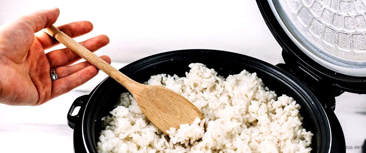 Dispensador de arroz: la manera más fácil de servir en tu cocina