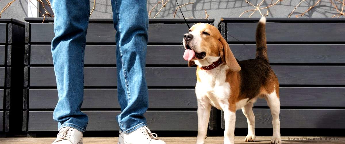 Dogo Bags: la combinación perfecta para tus zapatos