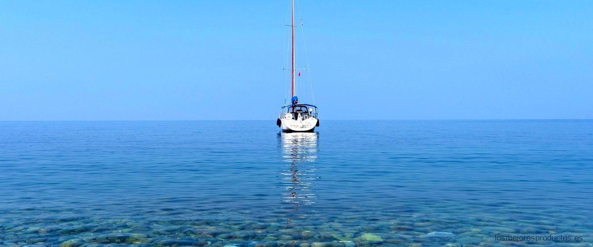El barco cebador Decathlon: la mejor opción para el carpfishing