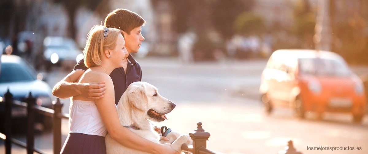El cochecito para perros smart buggy: la mejor opción para pasear a tu mascota