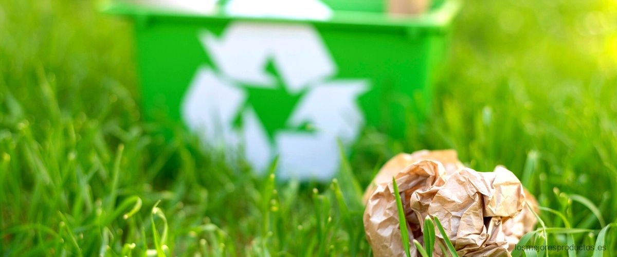 El cubo de basura duo ecológico: la opción sostenible para separar los residuos