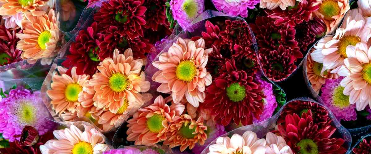 El increíble surtido floral de Carrefour Flores todos los santos