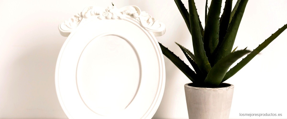 Encuentra el espejo de pared ideal en la colección de Zara Home