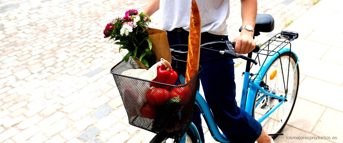 Encuentra la cesta de bicicleta ideal en Carrefour: comodidad y estilo en tus trayectos