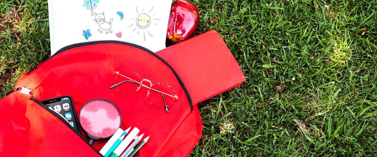 Encuentra la mochila Ispac perfecta para ti: diseños y colores para todos los gustos