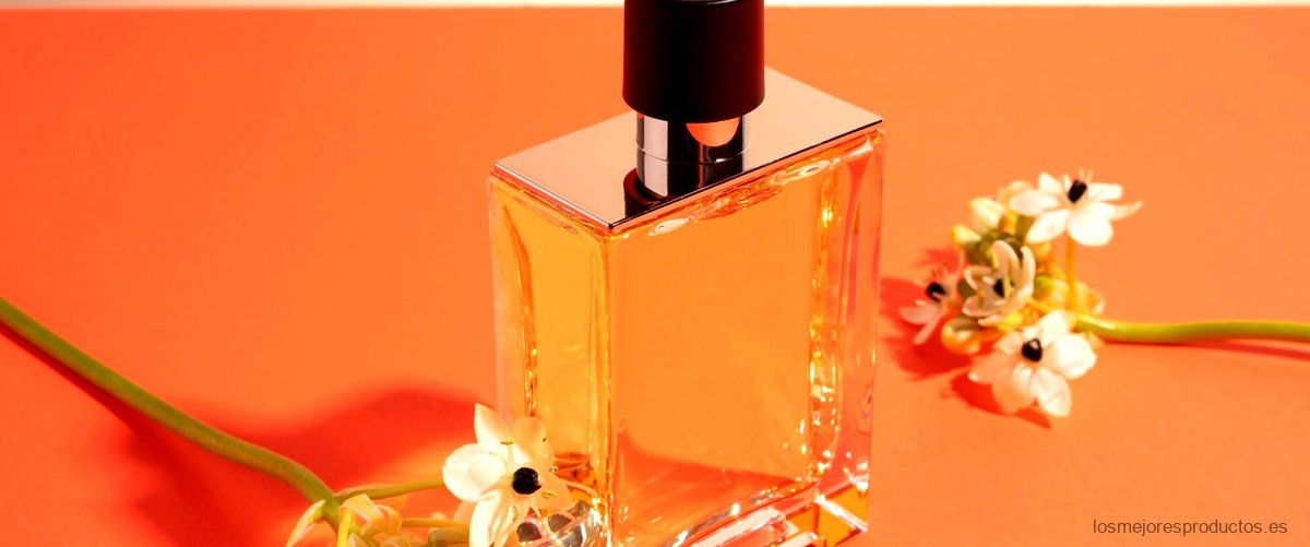 Encuentra tu fragancia perfecta en Red Perfumes