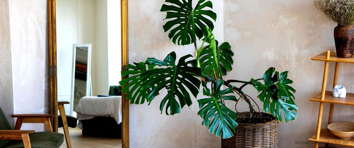 Espejos de pared Zara Home: estilo y sofisticación para tu hogar