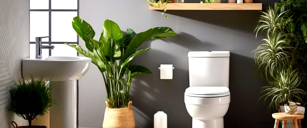 Estanterías sobre el WC: la solución perfecta para maximizar el espacio en tu baño