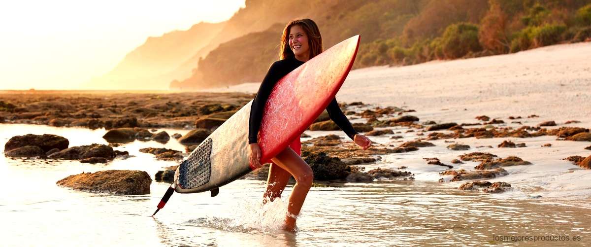 Explora las mejores olas del mundo con Van Surf Online